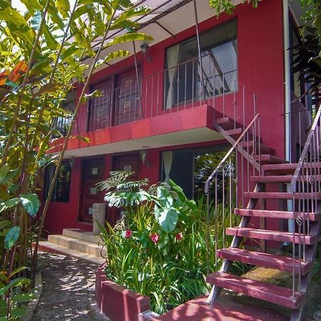 La Boruca Bed & Breakfast San Isidro  Exterior photo