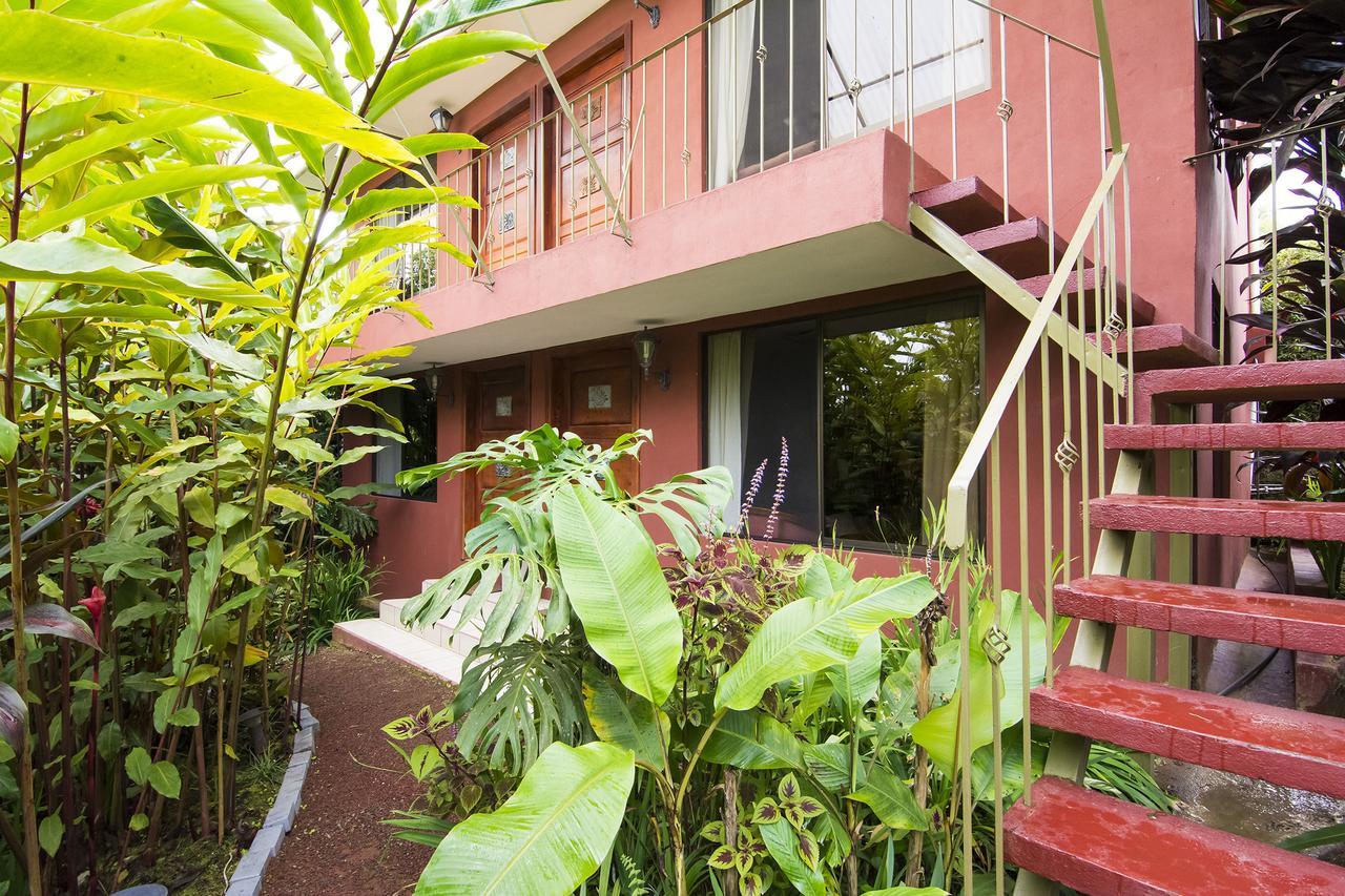 La Boruca Bed & Breakfast San Isidro  Exterior photo