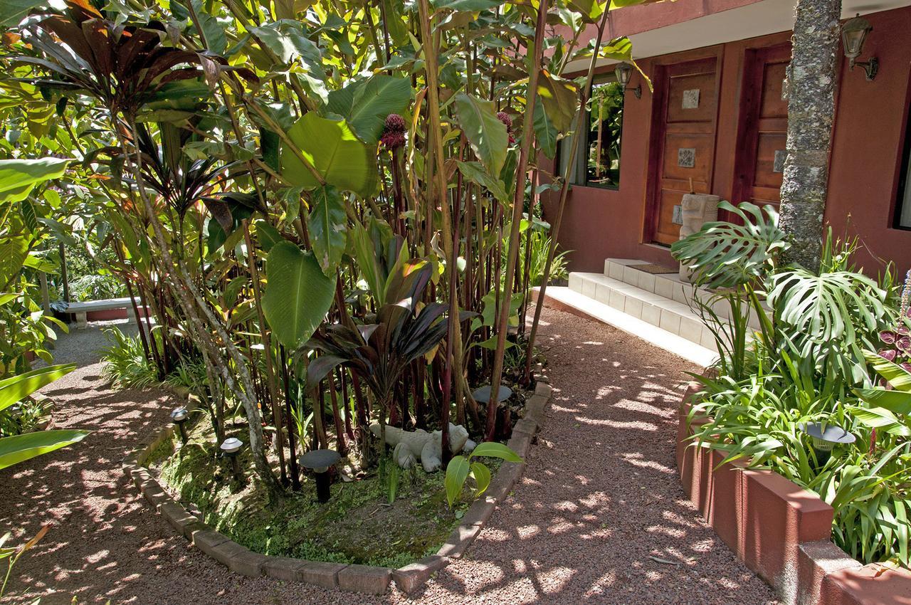 La Boruca Bed & Breakfast San Isidro  Exterior photo